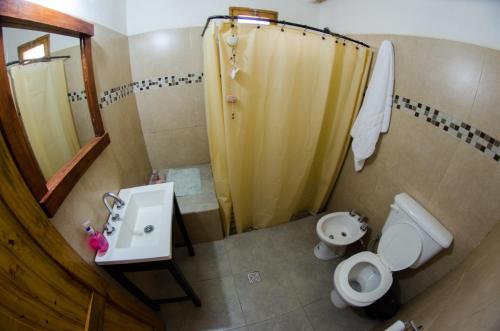 a bathroom with a shower and a toilet and a sink at Aire de Barreal Hostel Andino in Barreal