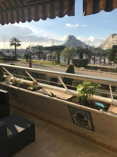 VILLENEUVE LOUBET- MARINA BAIE DES Anges -AU BON VIVRE - 2 pièces- Le Ducal - 60m2 Luxe