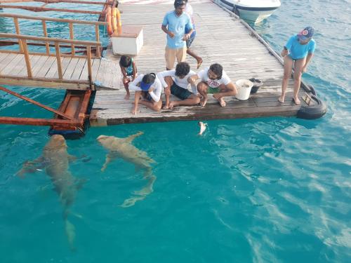 a group of people standing on a dock with a shark in the water at Garden Rooms by Lagoon View in Bodufolhudhoo