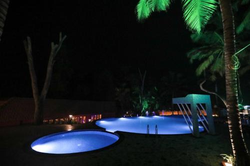 a swimming pool at night with a palm tree at GoGo Land Resort & Adventurous Sports in Pūvār