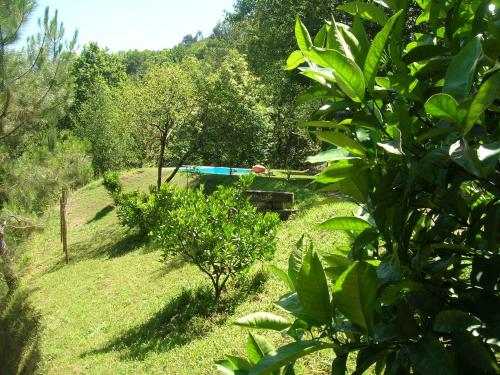 Taman di luar Casas das Guimbras