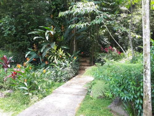 Recanto das Saíras – Photos 3