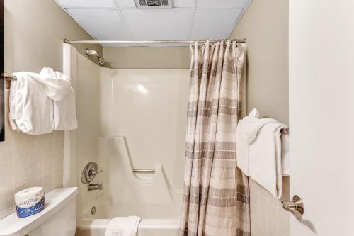 ein Bad mit einem Duschvorhang und einem WC in der Unterkunft Key Condo #2957 in Keystone