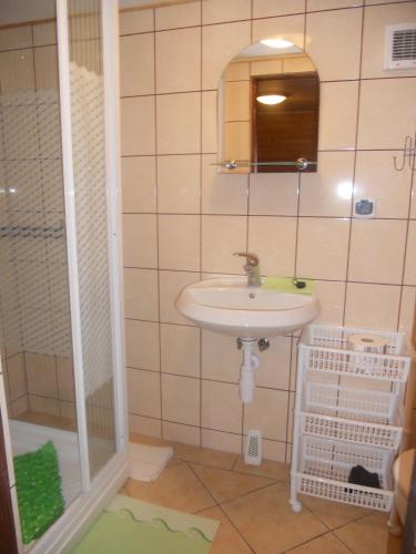 a bathroom with a sink and a shower at Dom Gościnny Matysowka in Jarosławiec