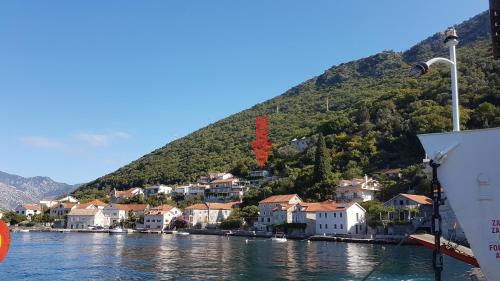a view of a town from a boat in the water at Apartments Eftimov in Tivat