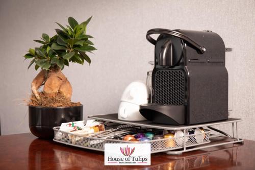 a table with a plant on top of a table at House of Tulips in Hillegom