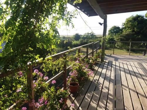 a wooden deck with flowers and a fence at Naturaleza pura in Rocha