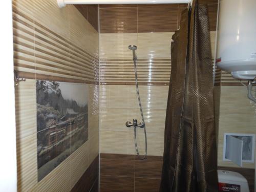 Gallery image of Guest house Viola in Berdiansk