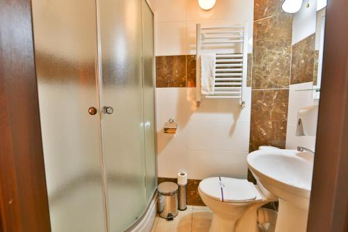uma casa de banho com um chuveiro, um WC e um lavatório. em Роляда em Tysmenytsya
