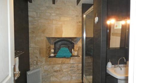 a bathroom with a shower and a sink and a fireplace at Les Roses Trémières in Lezay