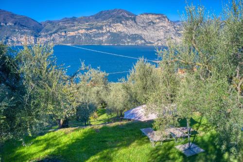a picnic table on a lawn with a view of a lake at Casa Maya in Brenzone sul Garda