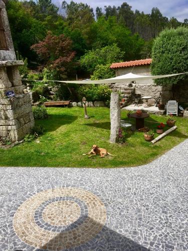 a dog laying on the grass in a garden at quinta da quinta, private room in Vieira do Minho