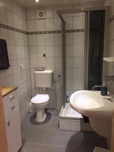a bathroom with a toilet and a sink and a shower at Ferienhaus Elisa in Trittenheim