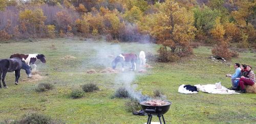 a group of horses in a field with a grill at Funky Guest House & Adventures in Përmet