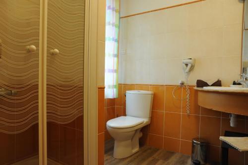 a bathroom with a toilet and a sink at Hôtel du Lac in Treignac