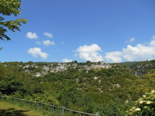 a town on top of a hill with trees at Archontiko Evridikis in Vitsa