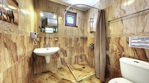 a bathroom with a sink and a toilet at Family Complex KrisBo in Donkovtsi