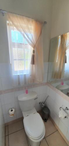 a bathroom with a white toilet and a window at Acacia Westdene B&B in Bloemfontein