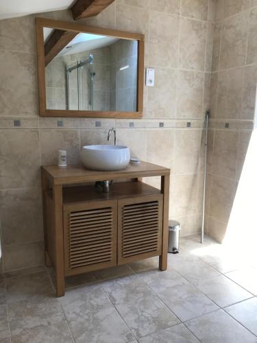 une salle de bain avec un lavabo et un miroir dans l'établissement Domaine de Favette, à Coursan