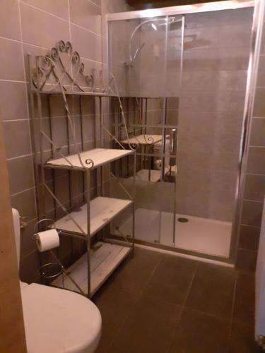 gîte le tilleul de la Fontaine في Alluy: حمام مع دش ومرحاض