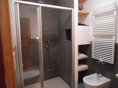 La salle de bains est pourvue d'une douche et d'un lavabo. dans l'établissement Sweet Home, à Cortina dʼAmpezzo