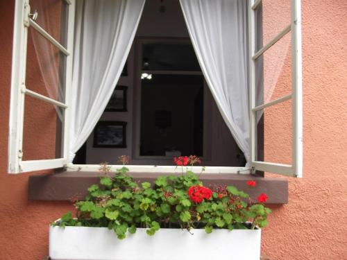 a window with red flowers in a window box at Pousada Max Pomerode in Pomerode