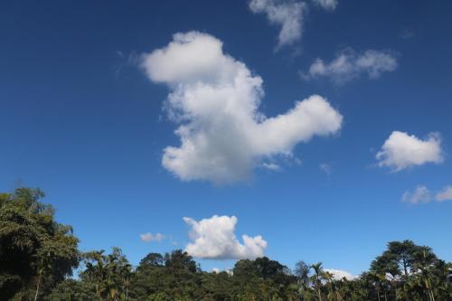 Paysage naturel près de le séjour chez l'habitant