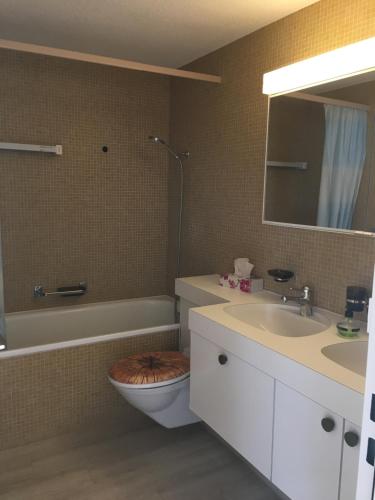 a bathroom with a sink and a toilet and a mirror at I dr Rehwiesa C31 in Arosa