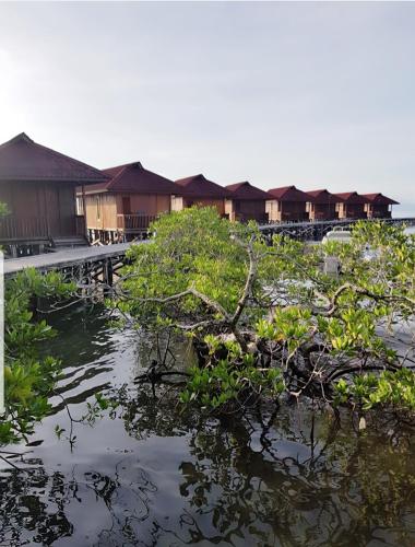 a group of huts in the water next to a river at Korpak Villa & Resort Raja Ampat in Saonek