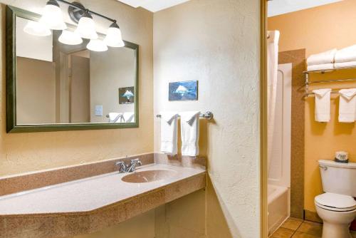 a bathroom with a sink and a toilet and a mirror at Econo Lodge Inn & Suites Durango in Durango