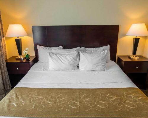 a bedroom with a large bed with white pillows and two lamps at Comfort Suites University Area Notre Dame-South Bend in South Bend