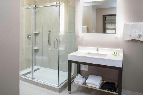 uma casa de banho com um chuveiro e um lavatório. em Holiday Inn Chicago SW-Countryside ConfCtr, an IHG Hotel em Countryside