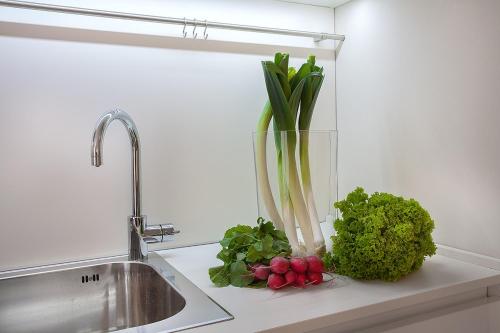 a vase with plants on a counter next to a sink at La Cortevecchia in Bergamo