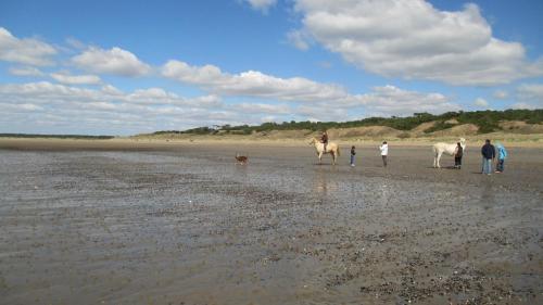 a group of people with horses and a dog on a beach at HOME-COSY - 6 pers - 40 m2 3 CH - 2 SDB et 2 WC in Saint-Brevin-les-Pins