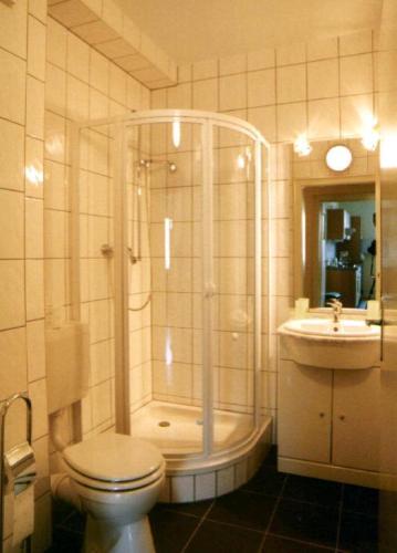 a bathroom with a shower and a toilet and a sink at Bernkasteler Moselapartments in Bernkastel-Kues