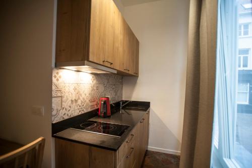 a kitchen with a stove and a counter top at Luxury Suites Riverside Residence by Rikas Hotels in Antwerp