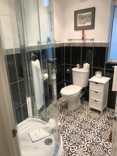a bathroom with a shower and a toilet and a sink at The Somerville in Torquay