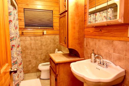 a bathroom with a sink and a toilet at Rio Lodge on The Guad in Second Crossing