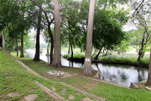 a group of trees next to a river at Rio Lodge on The Guad in Second Crossing