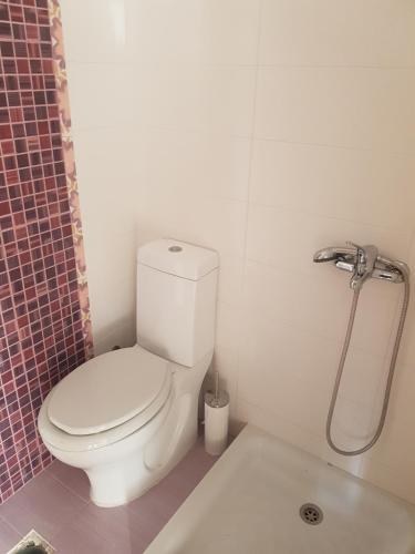 a bathroom with a toilet and a bath tub at MAREMARI VILLA in Ayía Marína