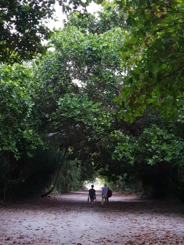 two people and a horse walking down a dirt road at Faima Fishing Lodge at Daravandhoo in Baa Atoll
