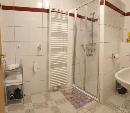 a bathroom with a shower and a sink at DM Apartment in Triberg