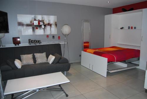 uma sala de estar com uma cama e um sofá em Loft, avec piscine privative et parking, à 15 minutes à pied du centre ville et à 20 mn de la mer em Montpellier