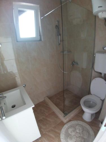 a bathroom with a shower and a toilet at Apartman Dajoda 1 in Bijela