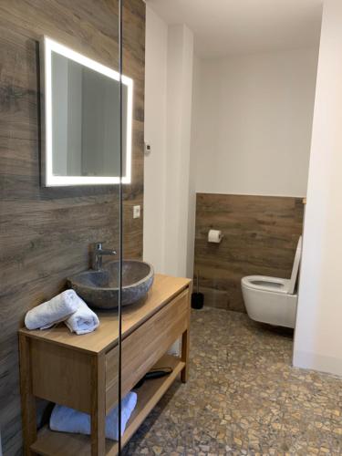 a bathroom with a sink and a toilet at Stadtvilla mit Pool in Jestetten
