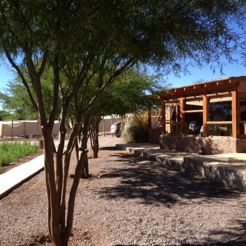 a group of trees in front of a building at Lodge Altitud in San Pedro de Atacama