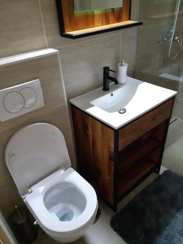 a bathroom with a white toilet and a sink at For5 in Ðakovo
