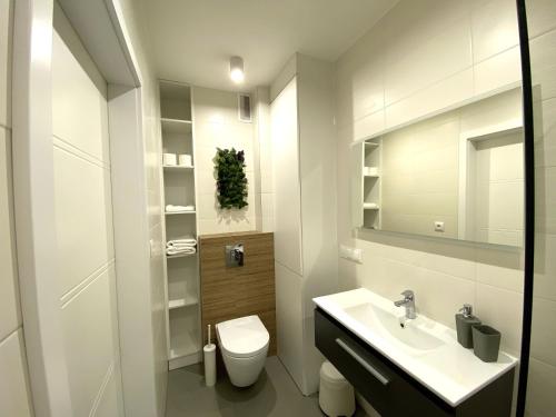 une salle de bain blanche avec un lavabo et des toilettes dans l'établissement Apartamenty Polanica Zdrój, à Polanica-Zdrój