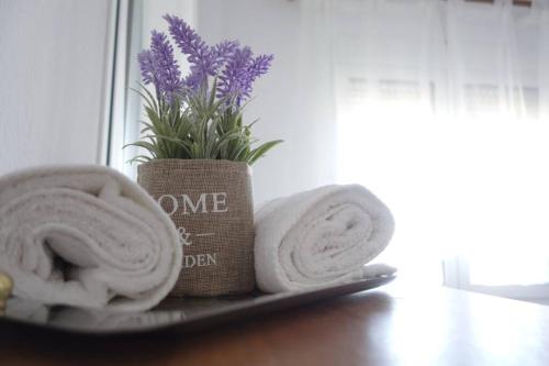 a plate with towels and a vase with purple flowers at Petra's House in Polychrono