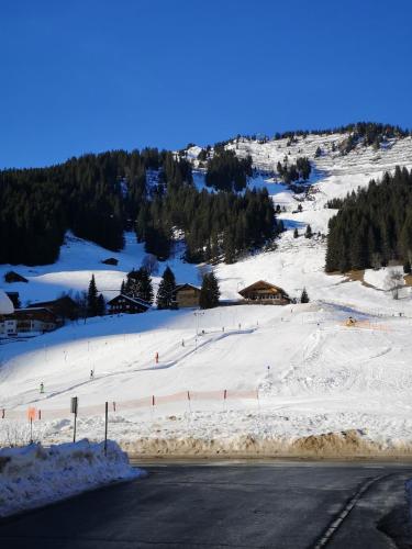 a snow covered hill with a ski slope at Landhaus Thaler in Mittelberg